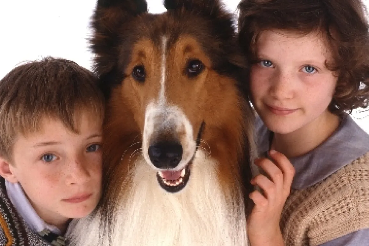 Lassie (2005)