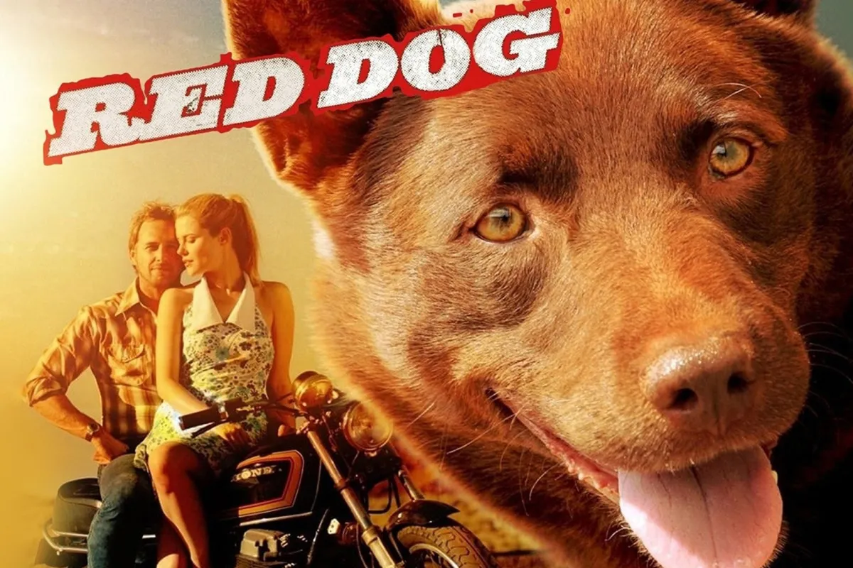 Red Dog (2011)